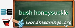 WordMeaning blackboard for bush honeysuckle